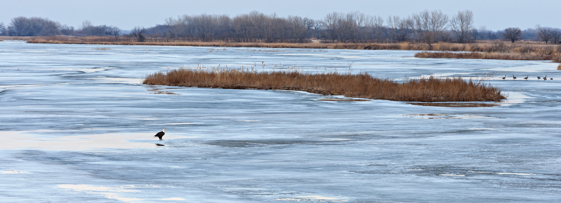 Winter on the Platte