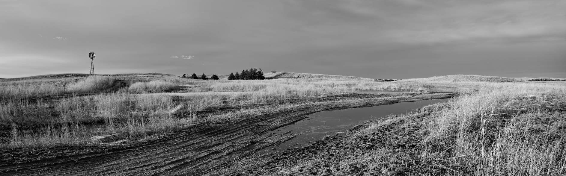 Winter Pasture II