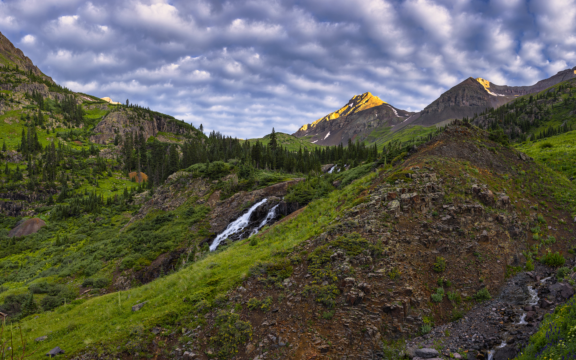 Yankee Boy Morning II