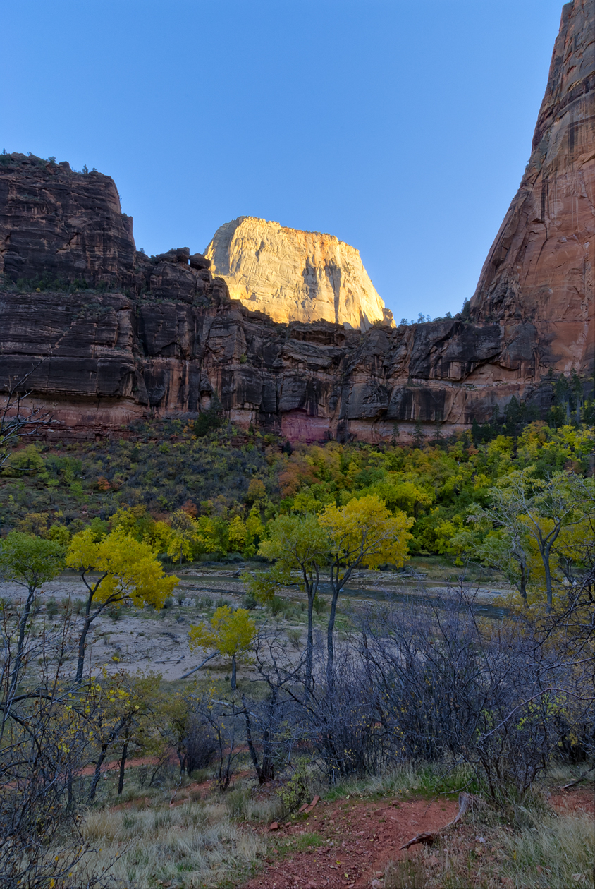 Zion Morning